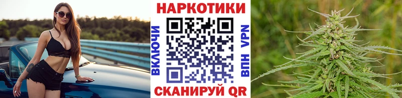 МЕФ Кирсанов