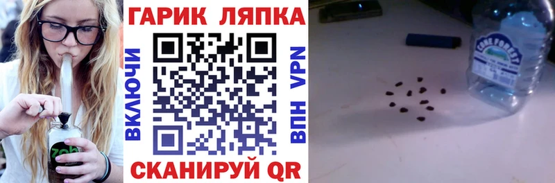 Купить где  Кирсанов  ГАШИШ Premium 