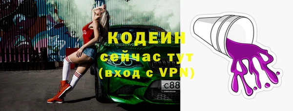 молекула духа Верхний Тагил