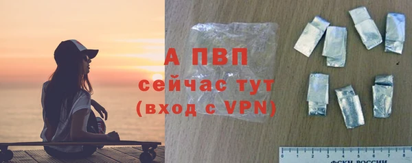 шишки Верея