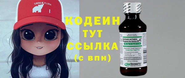 шишки Верея