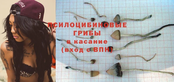 гидропоника Верхнеуральск