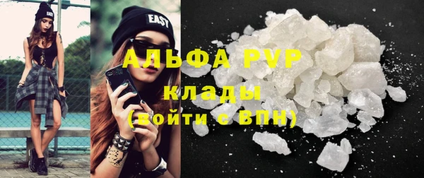 шишки Верея