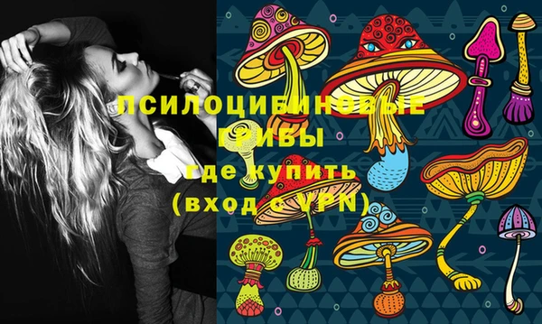 шишки Верея