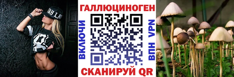 Купить  Кирсанов  Псилоцибиновые грибы Magic Shrooms 